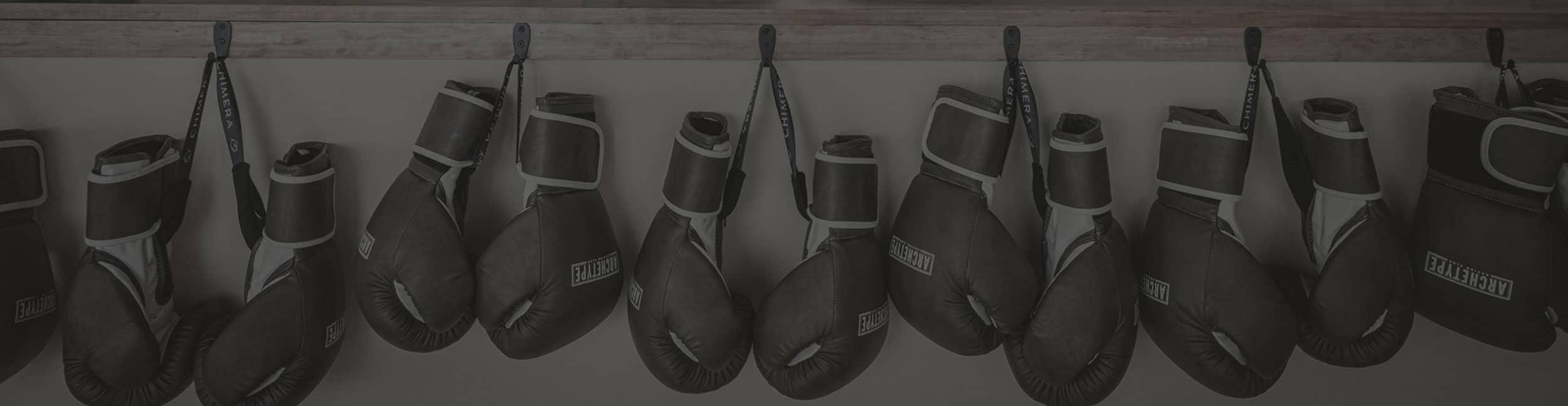 Boxing Gloves